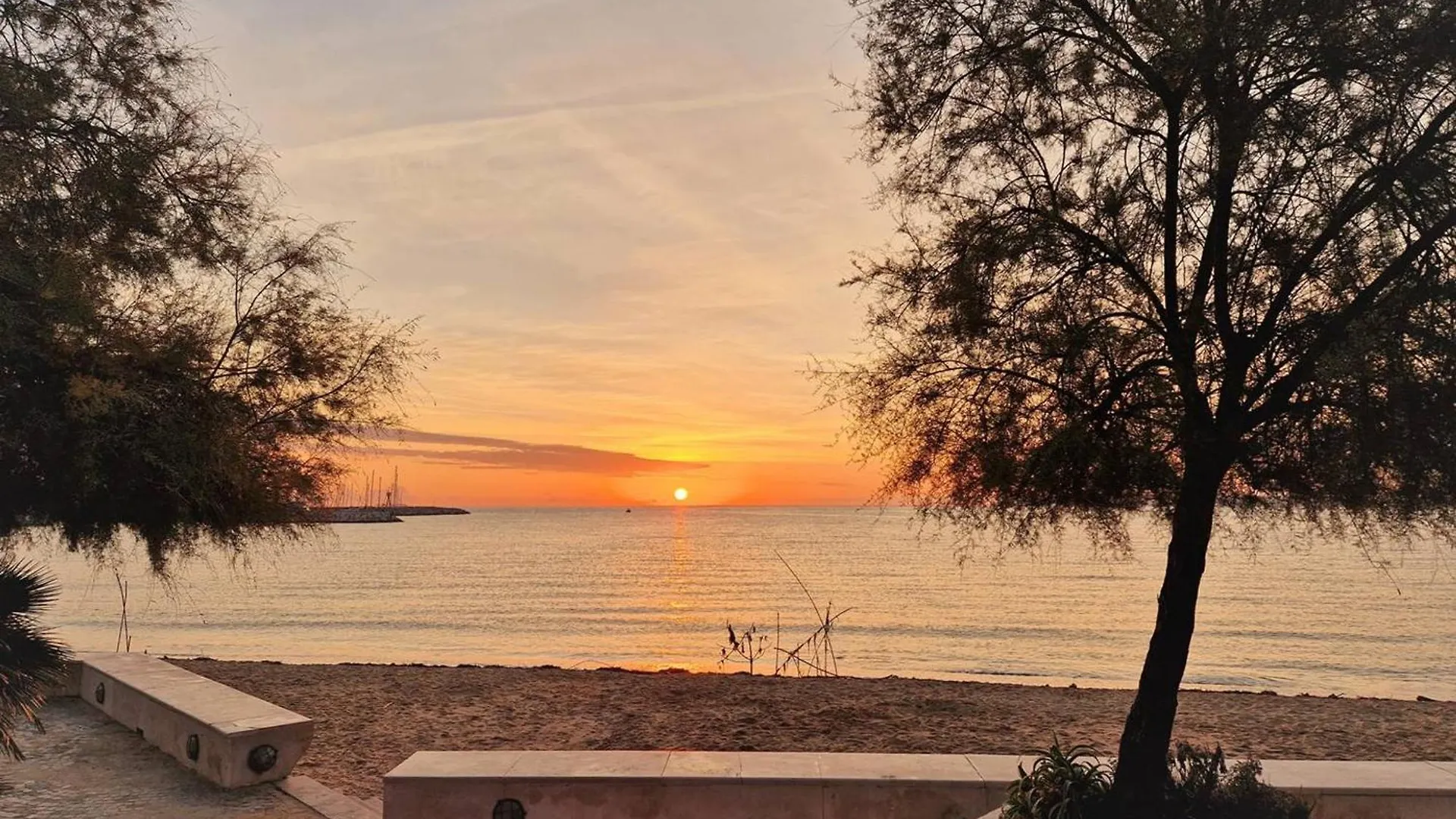 Appartement Renove Avec Acces Plage, Piscine Et Tennis - Bormes-Les-Mimosas - Fr-1-251-730 Διαμέρισμα